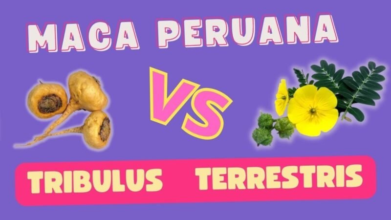 MACA E TRIBULUS POSSO USAR OS DOIS JUNTOS ? 🌿🌱🍃🌾🌾
